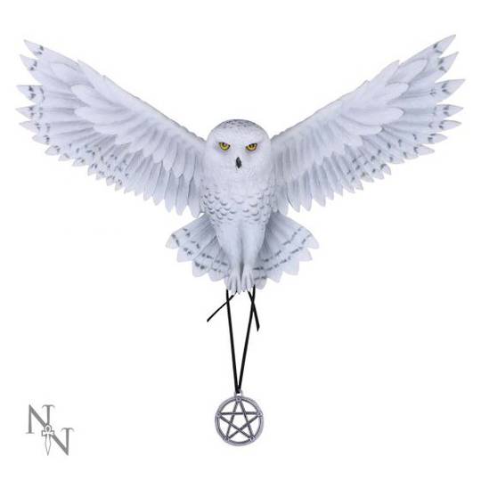 Anne Stokes Awaken your Magic Owl Pentagram Wall Plaque image 0